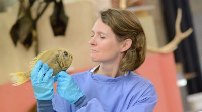 Claire Nouvian - Françoise Lemarchand