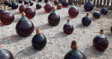 Make the Muscat of Frontignan Great Again !